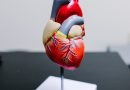 Kumpulan Mnemonic – Cardiovascular